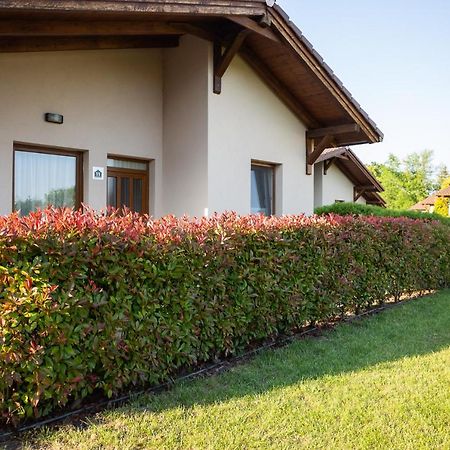 Pandora Zsory Apartmanok Mezokoevesd Экстерьер фото